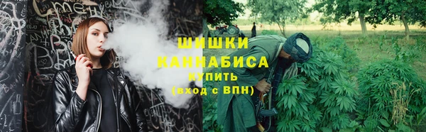 гидра Наволоки