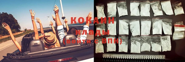 гидра Наволоки