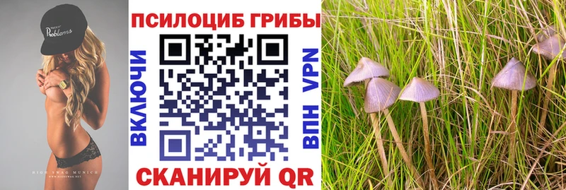 Псилоцибиновые грибы прущие грибы Пугачёв