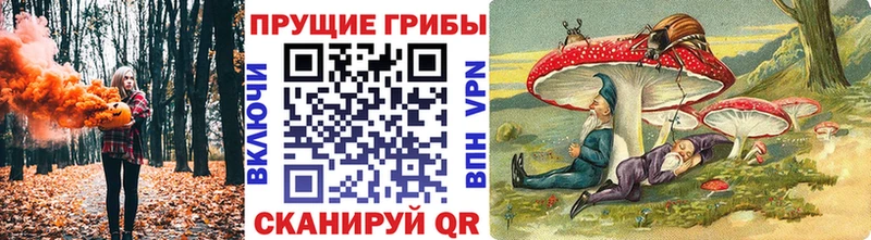 Галлюциногенные грибы Magic Shrooms  Пугачёв 